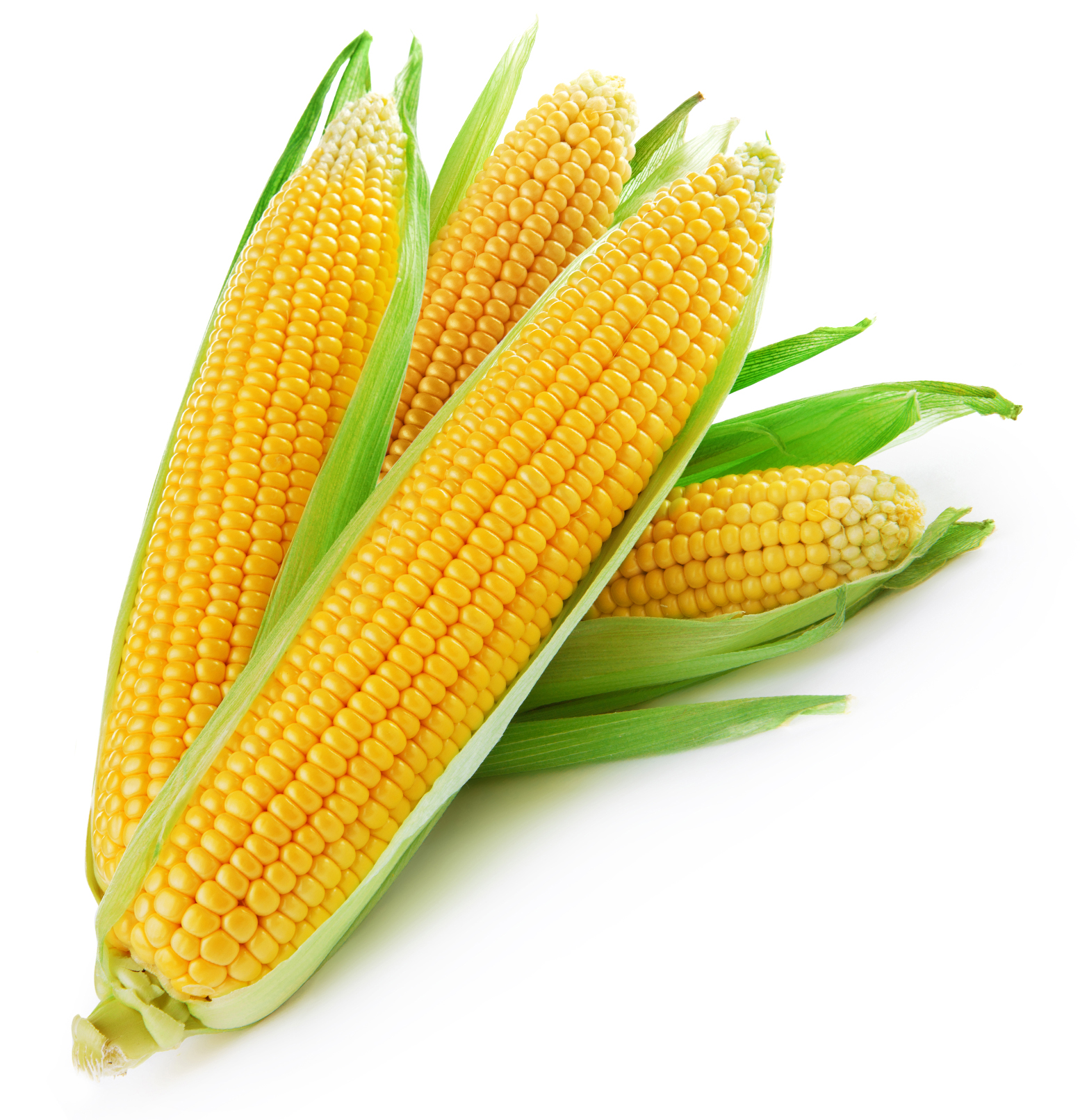 Sweet Corn - VIMA Foods