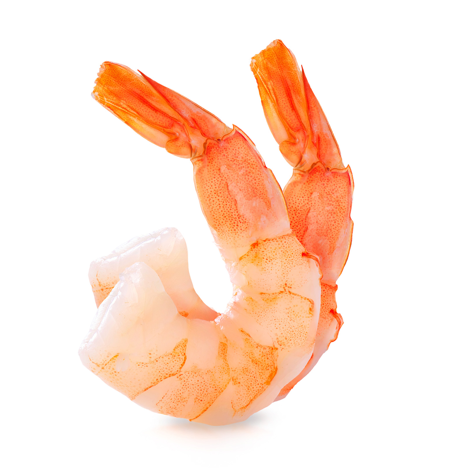 Order Extra Large Peeled & Deveined Tail-Off Shrimp from the Gulf – Biloxi  Shrimp Co.