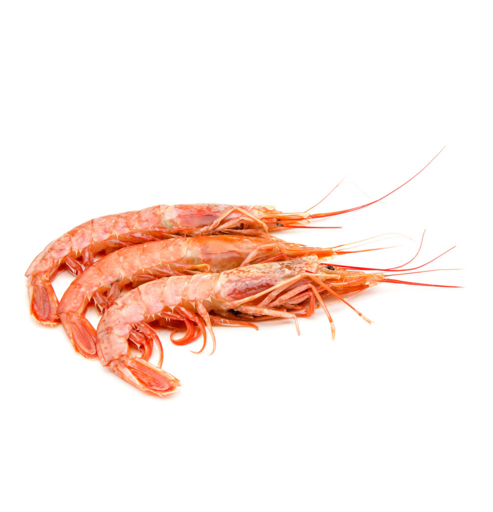 Argentine Red Shrimp VIMA Foods