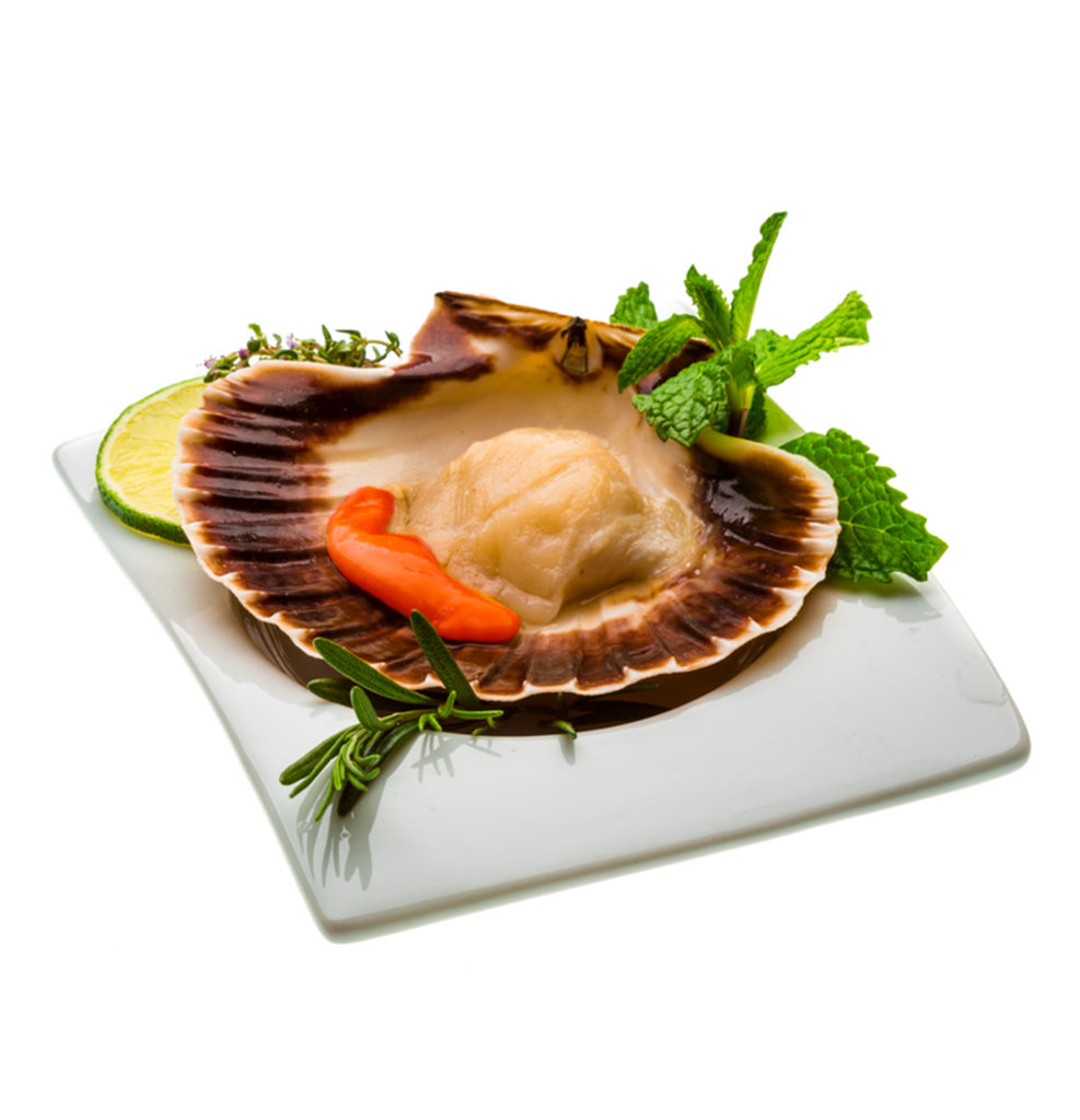 Queen Scallop VIMA Foods